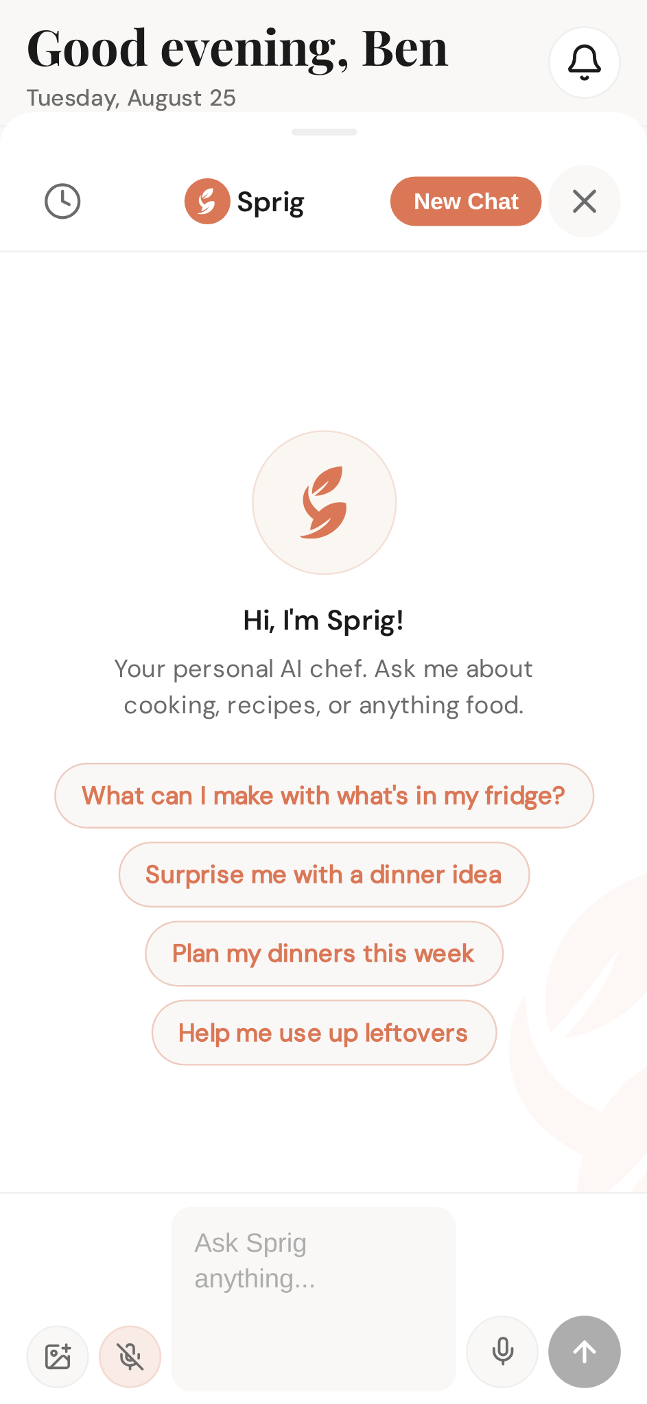 Sprig's greeting with suggestion chips