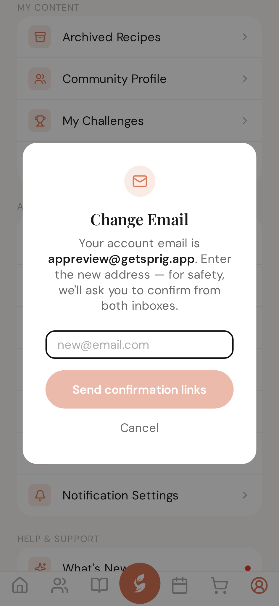 Type the new address — confirmation links go to both inboxes
