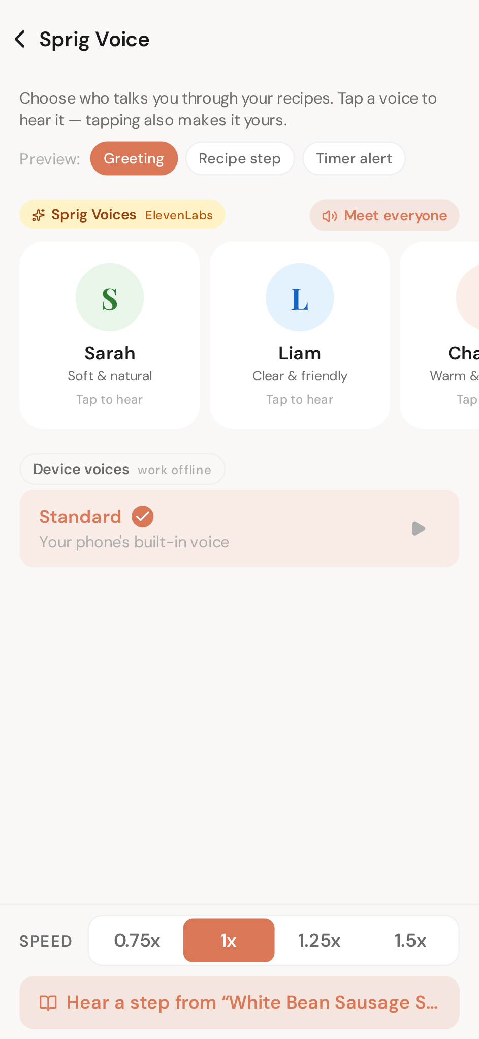 The Voice screen — pick a voice, set the speed, hear a preview