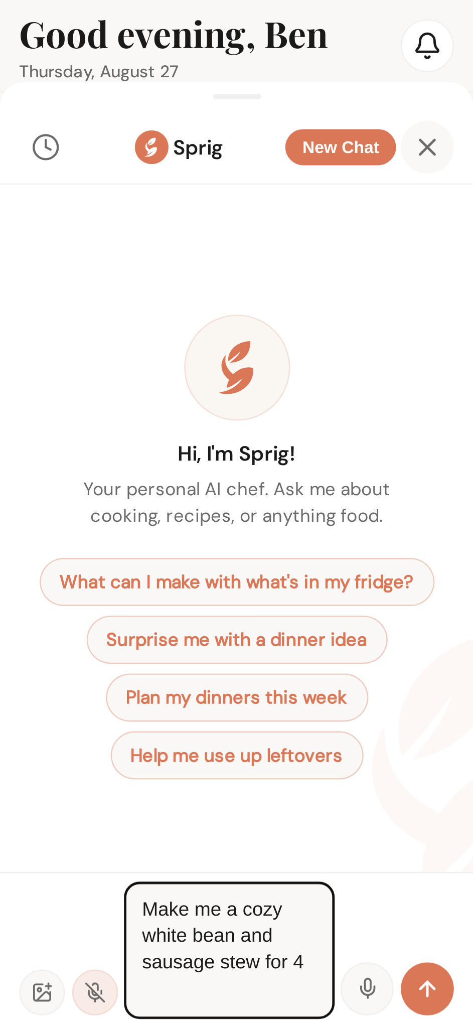 Tell Sprig what sounds good — this is all it takes